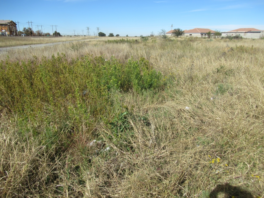 0 Bedroom Property for Sale in Naudeville Free State